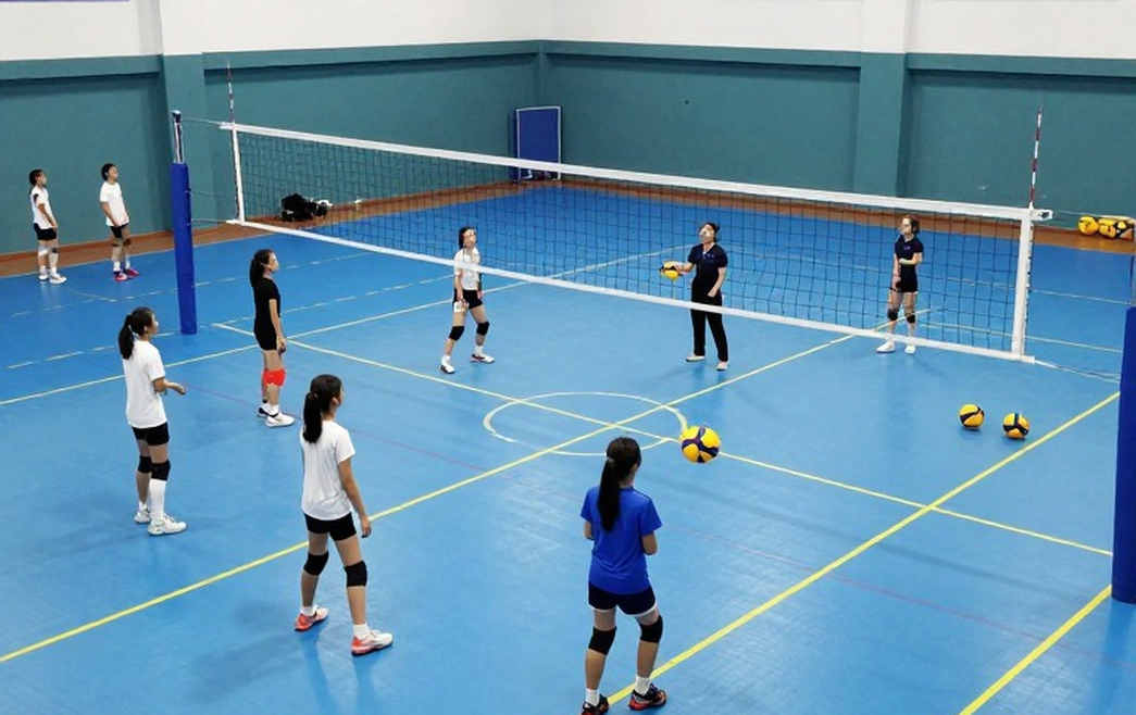 Ai Cập viết nên lịch sử bóng chuyền nữ châu Phi: Vương miện Olympic 2028 và ba tấm vé World Cup 2027