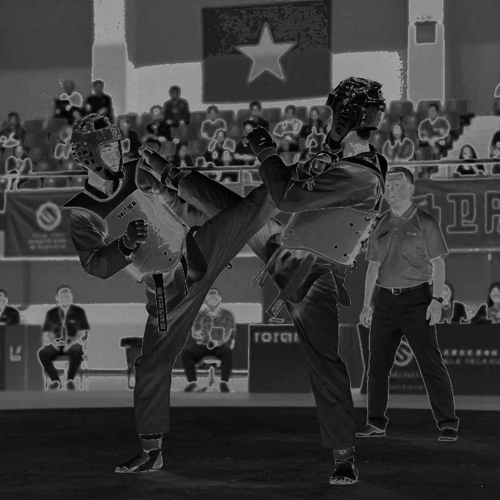 HCĐ kata của Bùi Ngọc Nhi tại Asiad 20: Nhánh thua kể câu chuyện về giới hạn của võ thuật Việt Nam