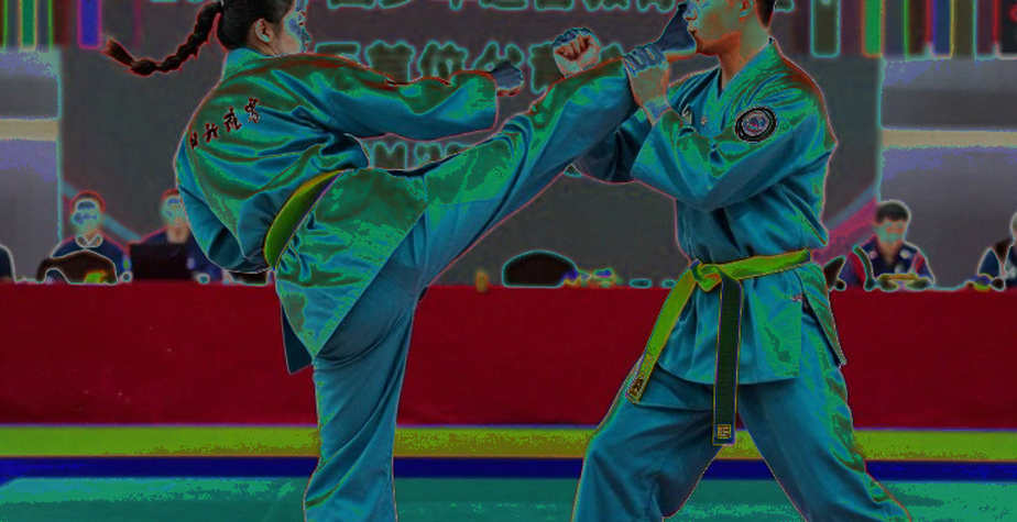 Võ thuật Việt Nam: Từ sàn đấu đến đời thường – Hành trình của những chiến binh thầm lặng